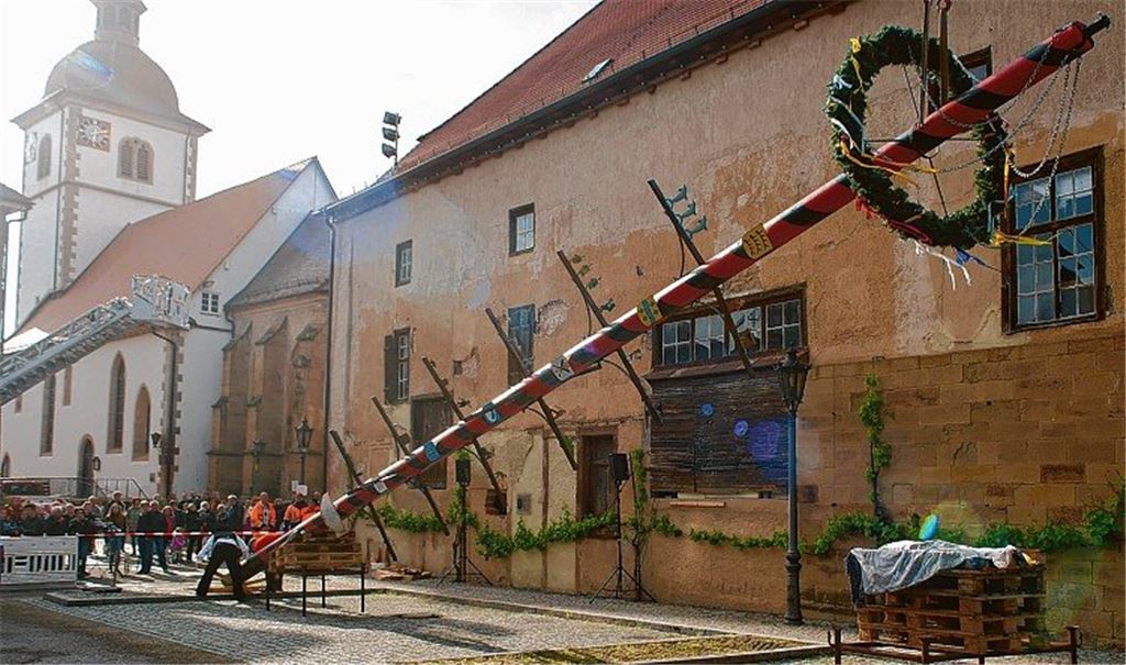 Knittlinger Maibaum steht