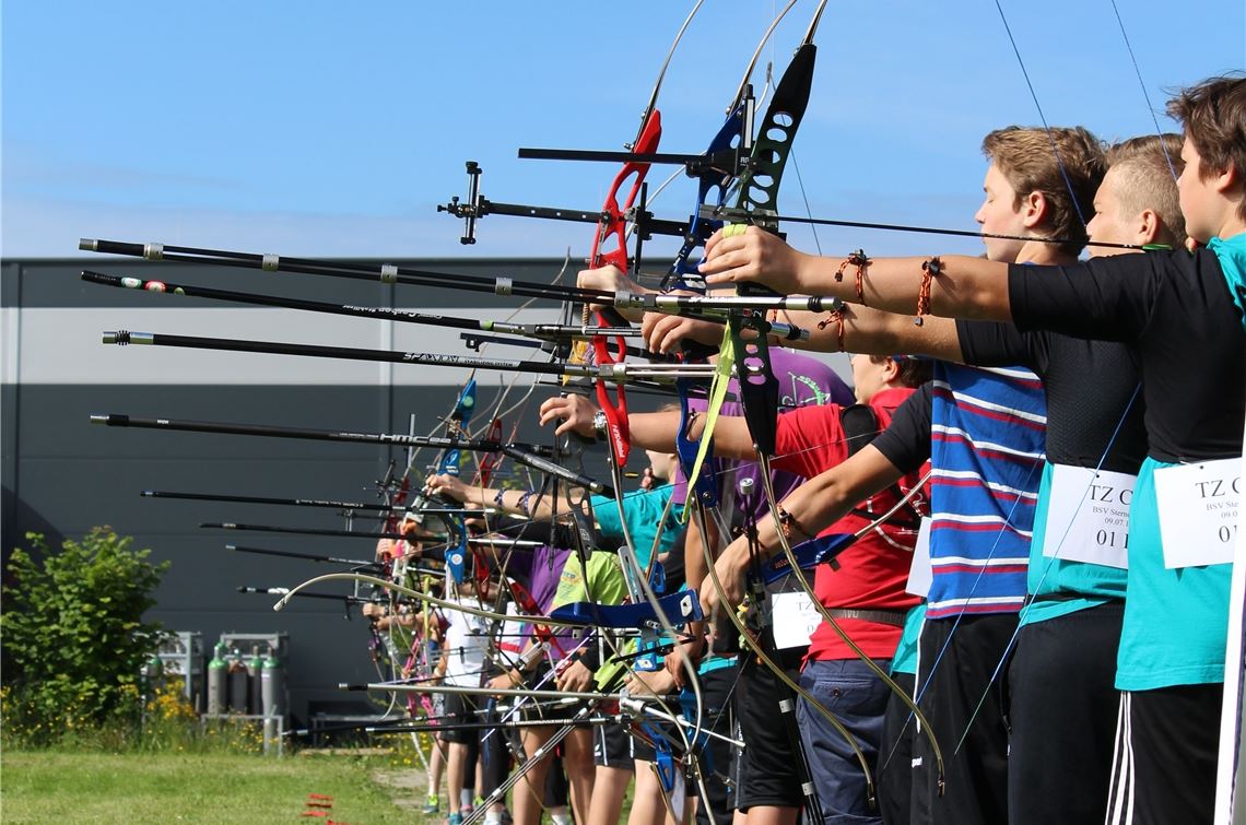 Es war einmal: Bogensport auf der Anlage des BSV Sternenfels. Foto: Archiv