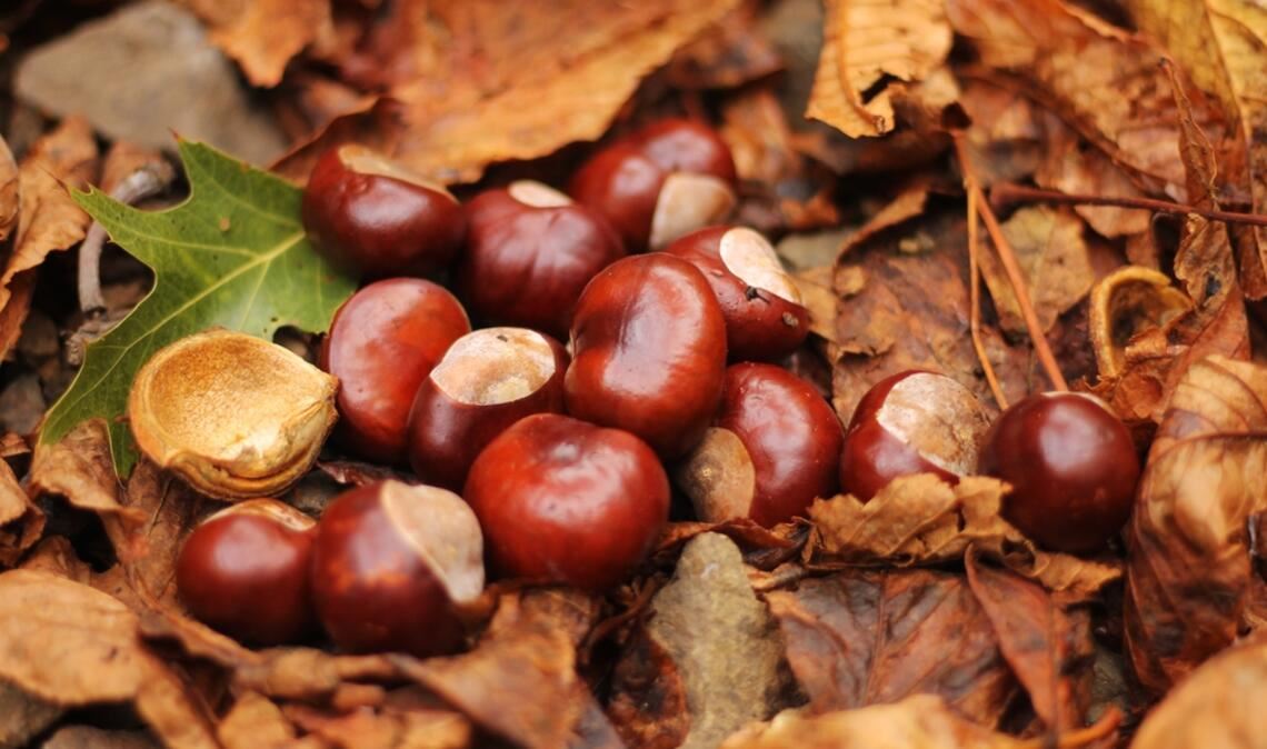 Es wird warm, aber wechselhaft.