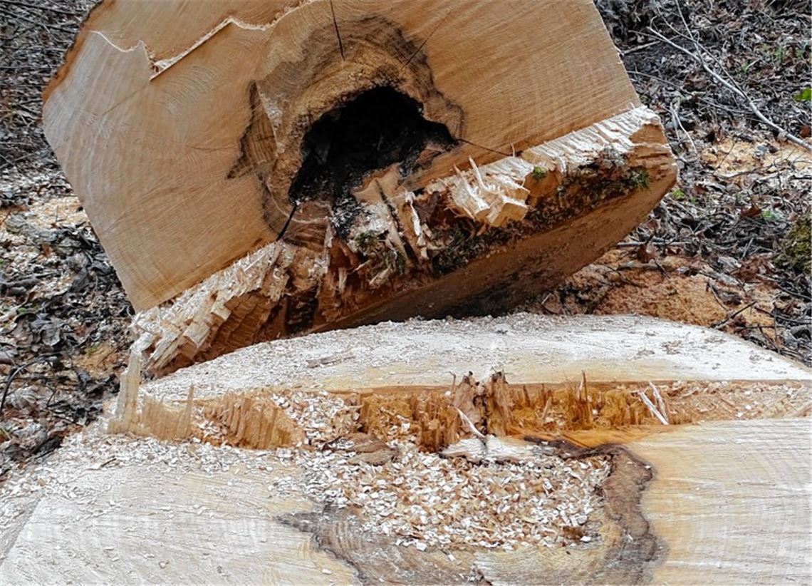 Freie Fahrt auf der B35