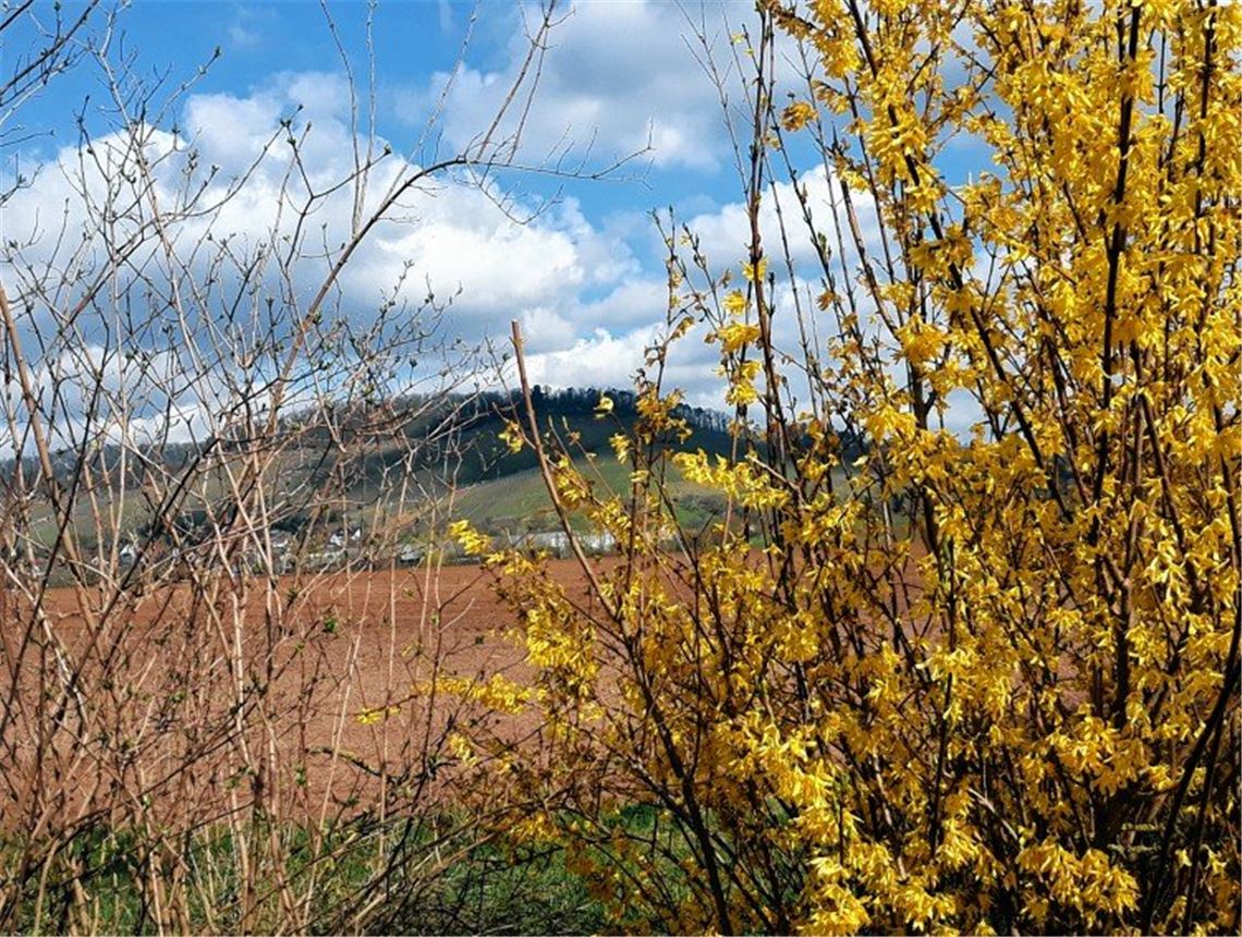 Frühlingsgefühle