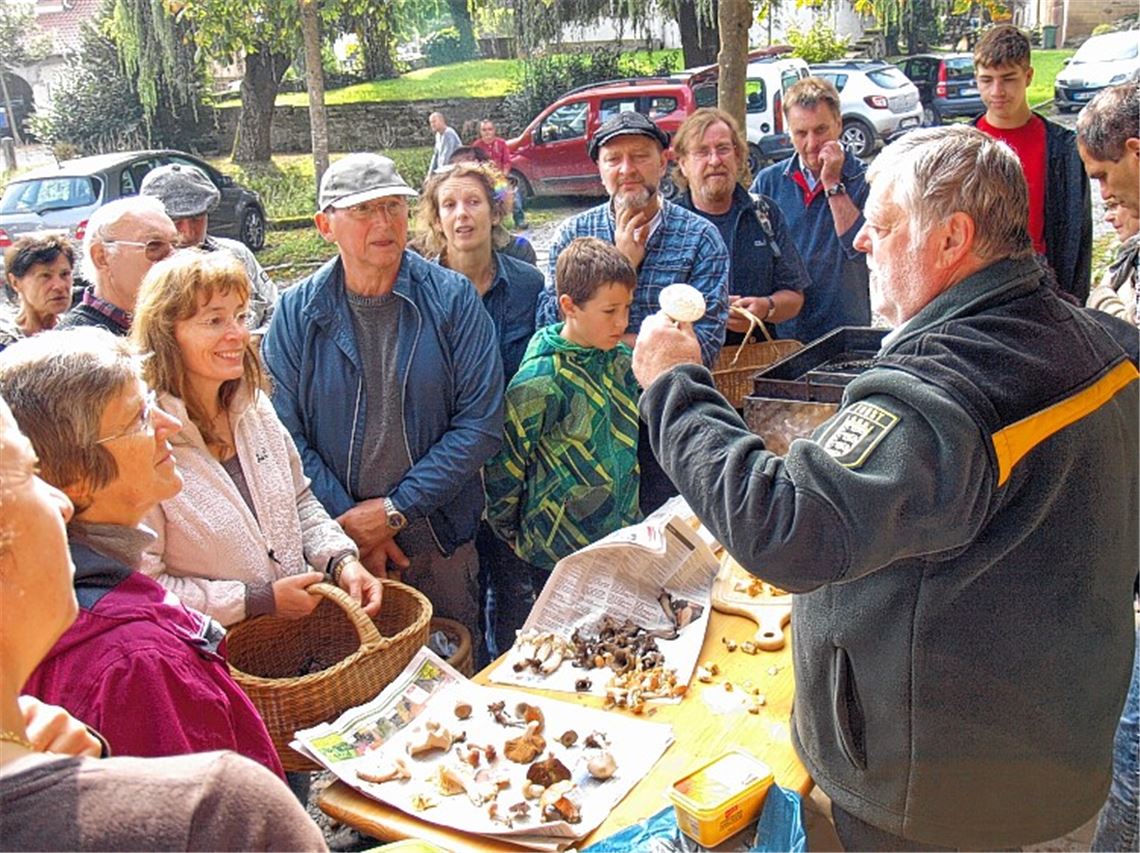 Essbar oder nicht? Pilzkenner Ulrich Iwanowski schaut sich jeden Pilz genau an und sortiert kräftig aus. Foto: Filitz