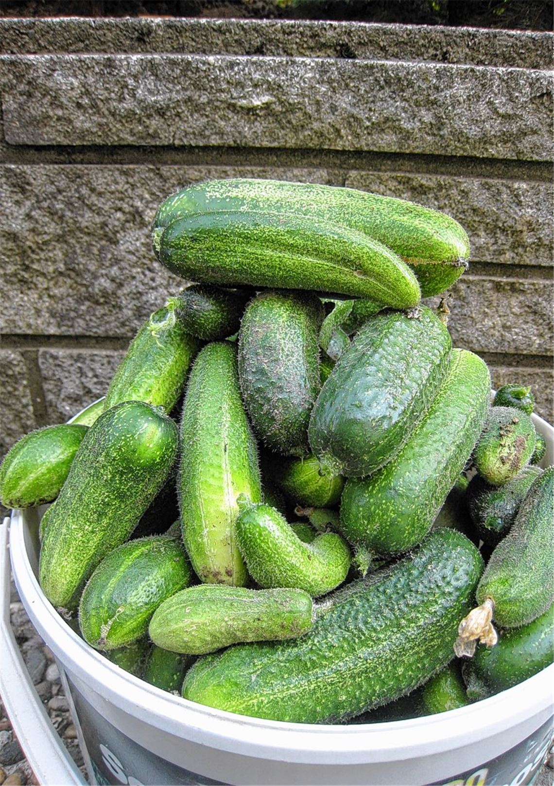 Sommerzeit Sommerzeit