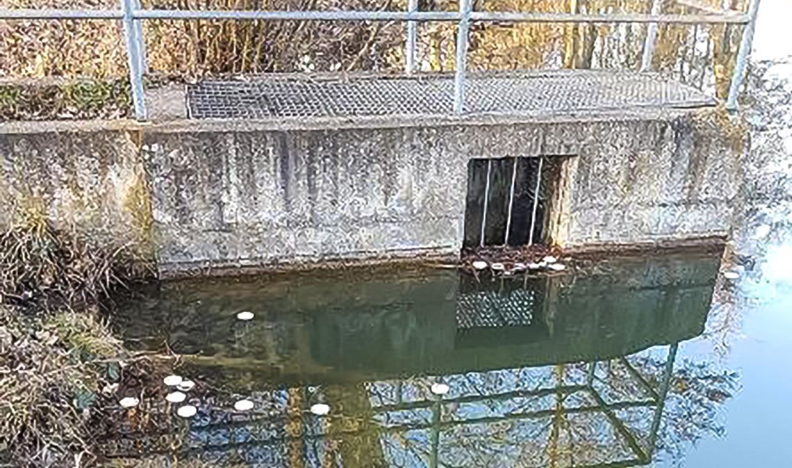 Etwa 150 weiße Kunststoffdeckel landen im Horrheimer See. Foto: pol