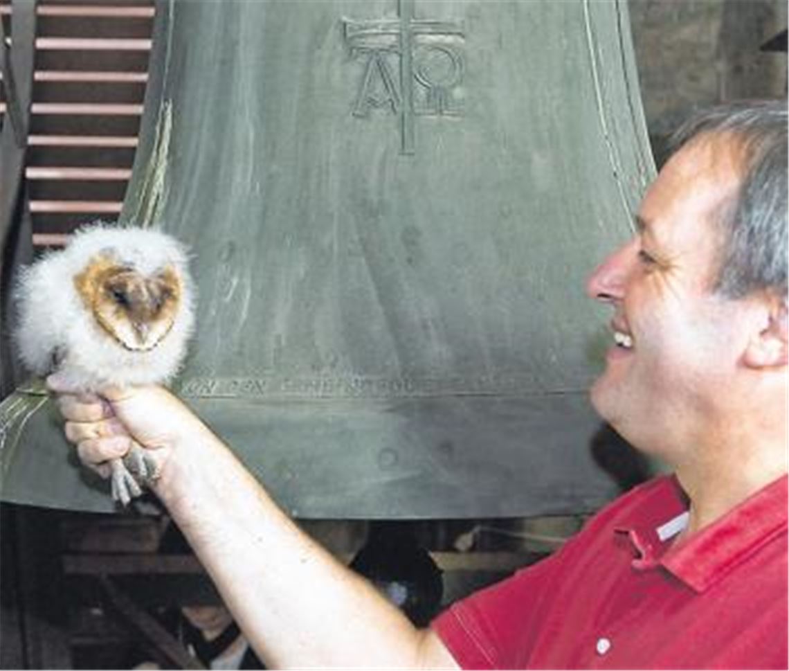 Eulen-Nachwuchs in der Andreas-Gemeinde: Pfarrer Beatus Widmann im Glockenturm mit einem der Nesthäkchen. Foto: Wilhelm
