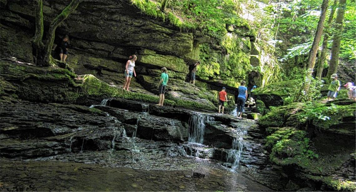 Exkursion in der Monbachschlucht. Foto: p