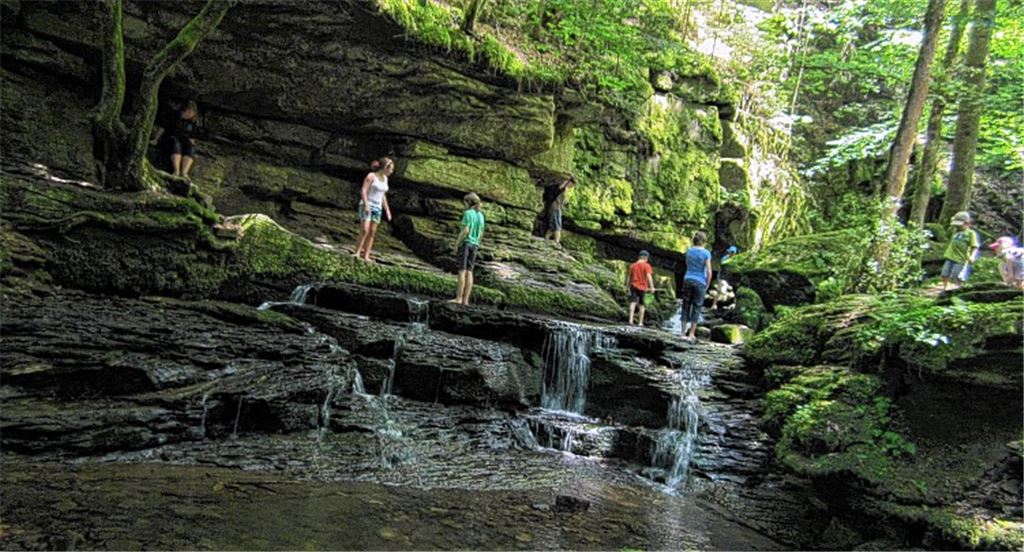 Exkursion in der Monbachschlucht. Foto: p