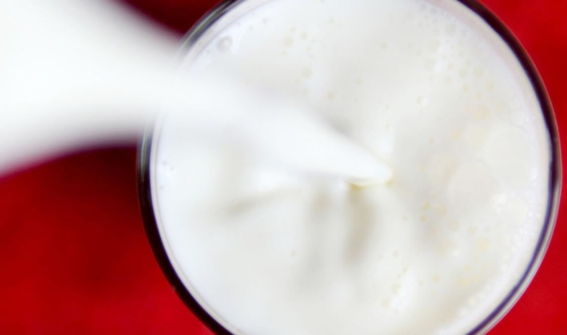 Experten: "Pflanzendrinks sind kein gleichwertiger Ersatz für Kuhmilch"
