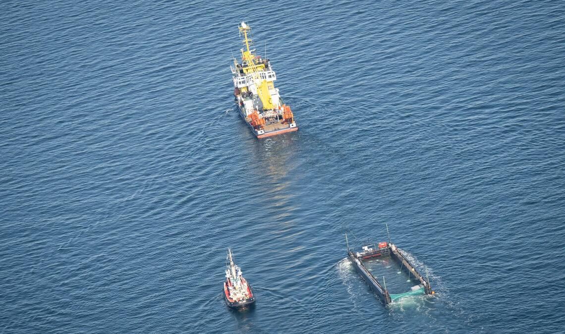 Experten kritisieren die Aktion.