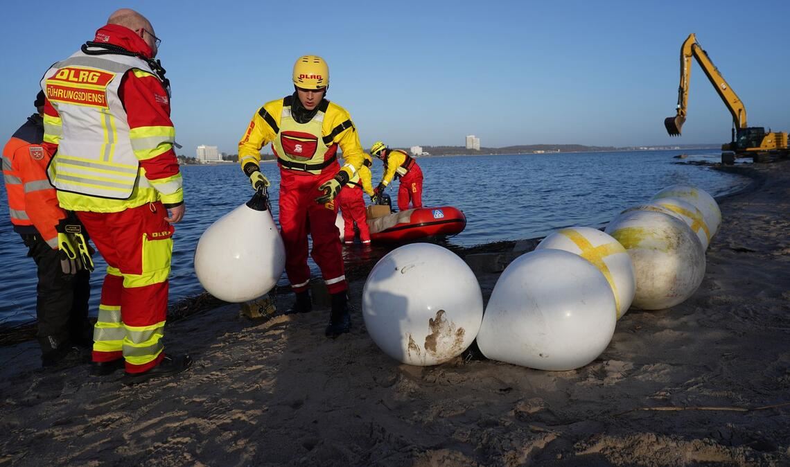 Experten versuchten tagelang das gestrandete Tier zu retten.