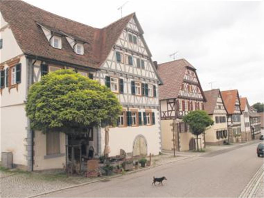 Fachwerkhäuser prägen das Bild der Knittlinger Straße in Lienzingen. Reicht das für eine Aufnahme in die Deutsche Fachwerkstraße?
Foto: Sadler