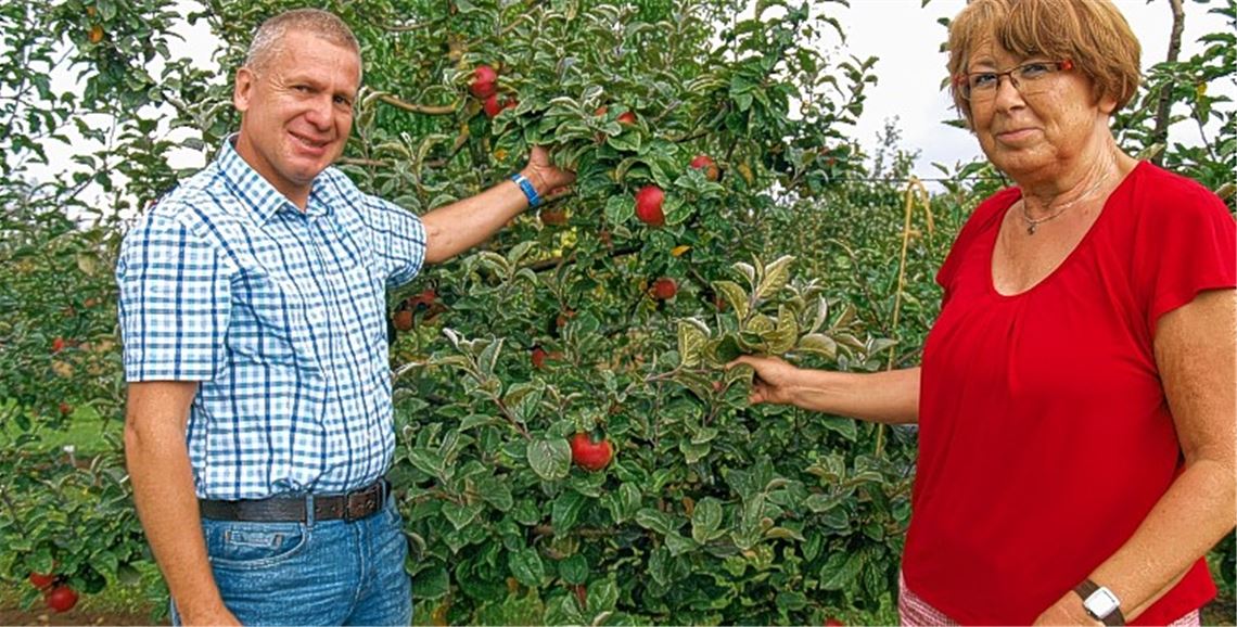 OGV demonstriert Vielfalt im Obstanbau