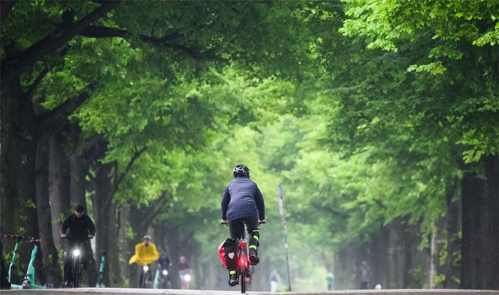 Fahrradfahrer sind bei Regen auf einer Allee am Maschsee in Hannover unterwegs.