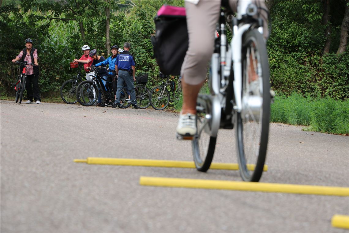 910_0008_178069_joy_fahrsicherheitstrainig_pedelecs_verk