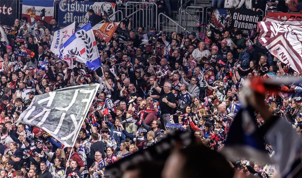 Fans der Eisbären Berlin (Archivbild)