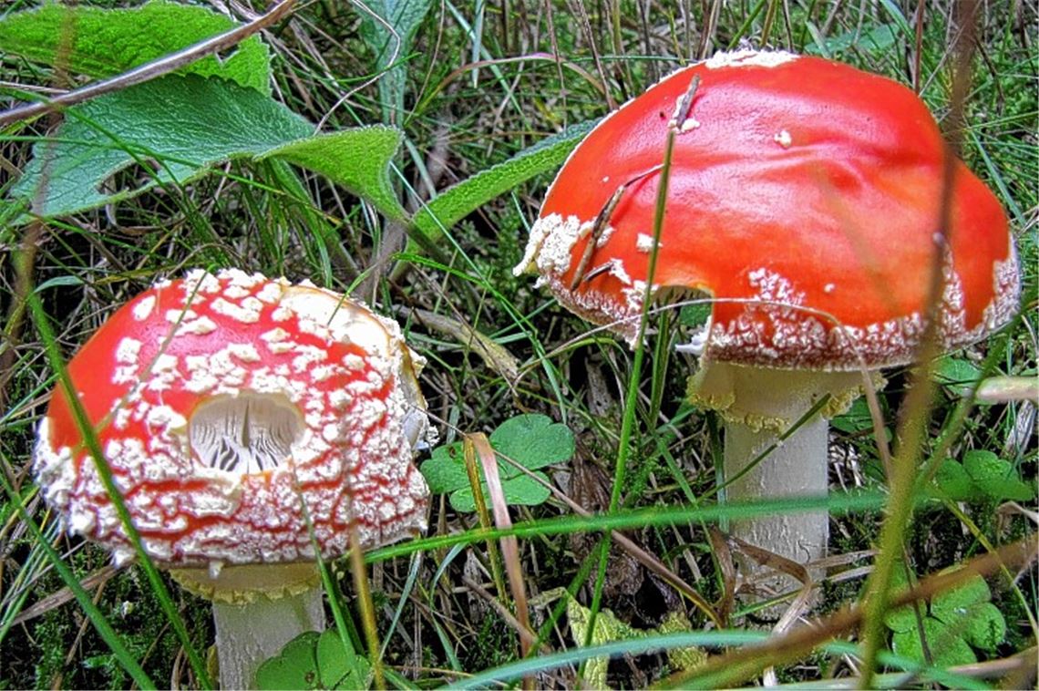 Herbstfarben Herbstfarben