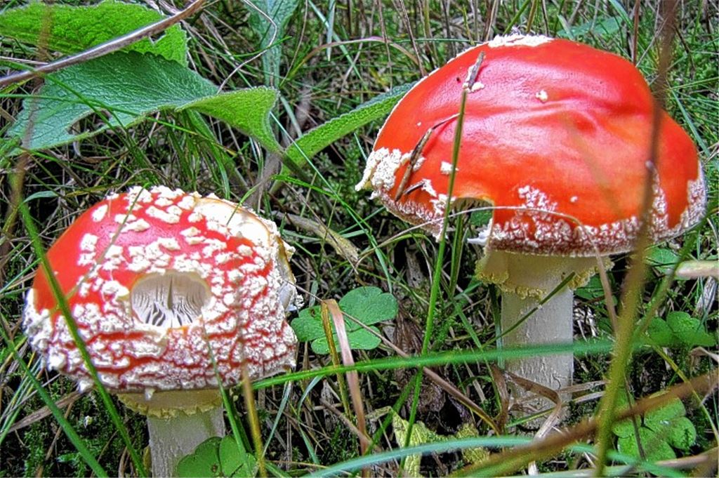Herbstfarben