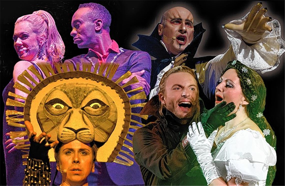 Farbenfrohe und klanggewaltige Show durch die Welt der Muscials. Foto: privat