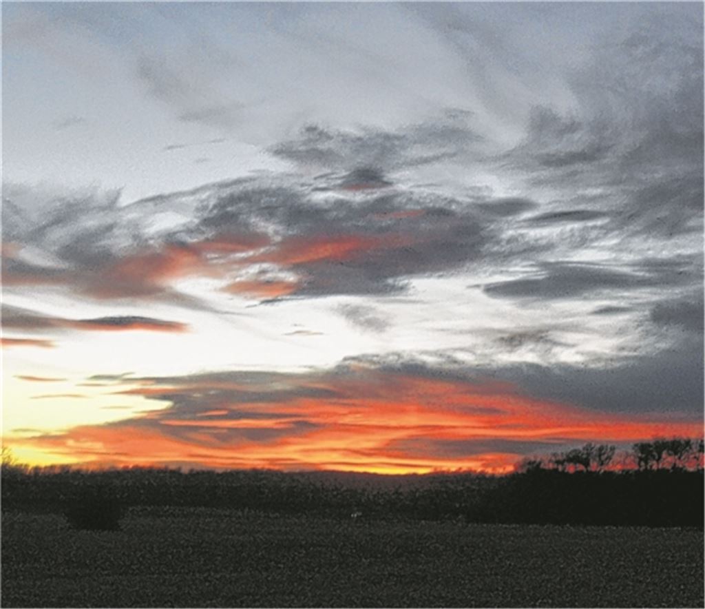 Farbenspiel (Foto: Herbert Albrecht)