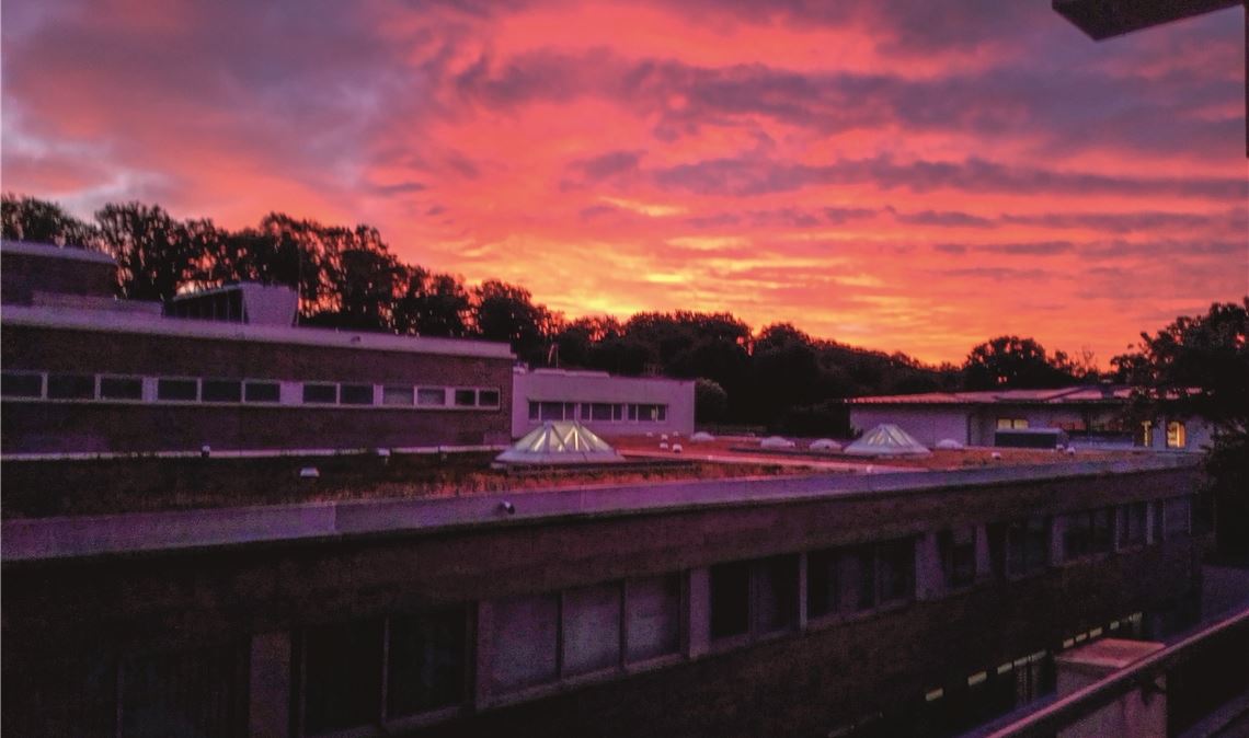 Farbintensiver Sonnenaufgang am Pfingstmontag.  Foto: Franziska Bradasch, Mühlac...