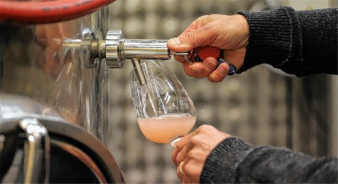 Wengerter biegen auf die Zielgerade ein