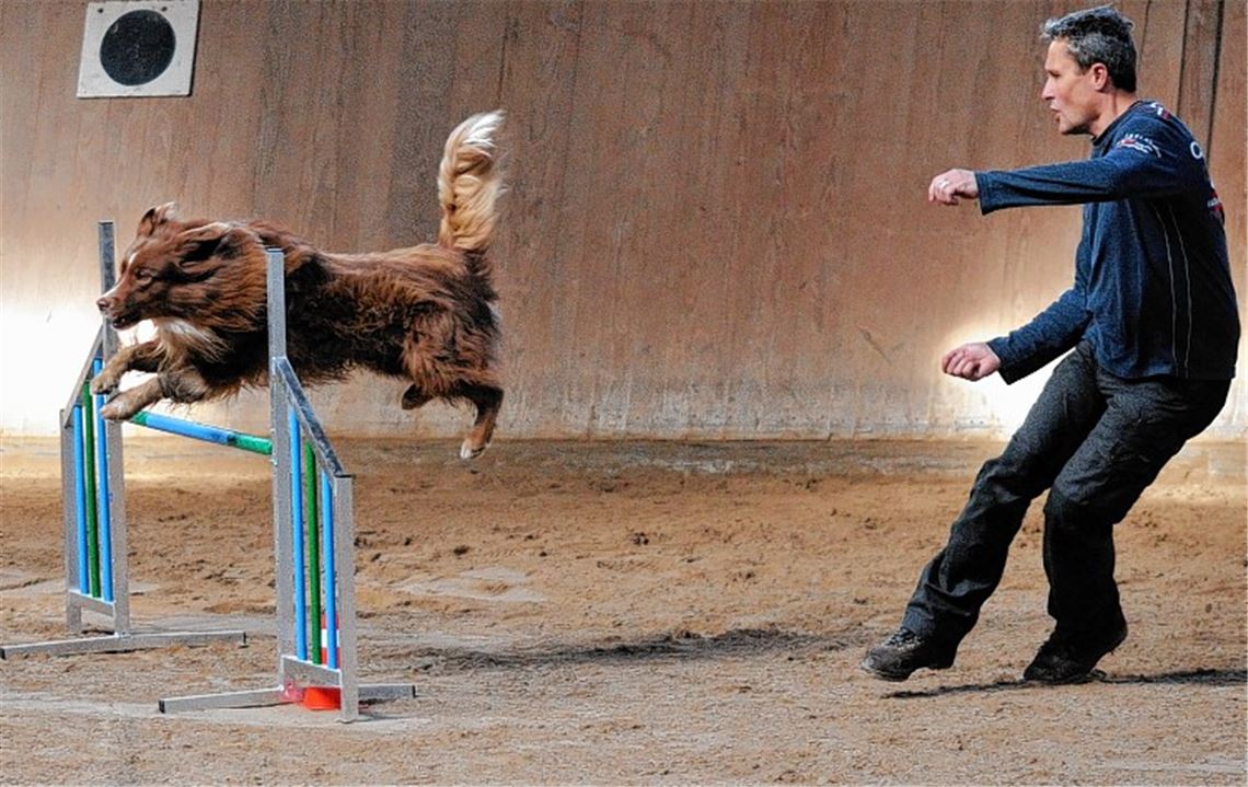 Fehlerfrei: Harald Franke mit seinem Australian-Shepherd-Rüden Rusty. Foto: privat