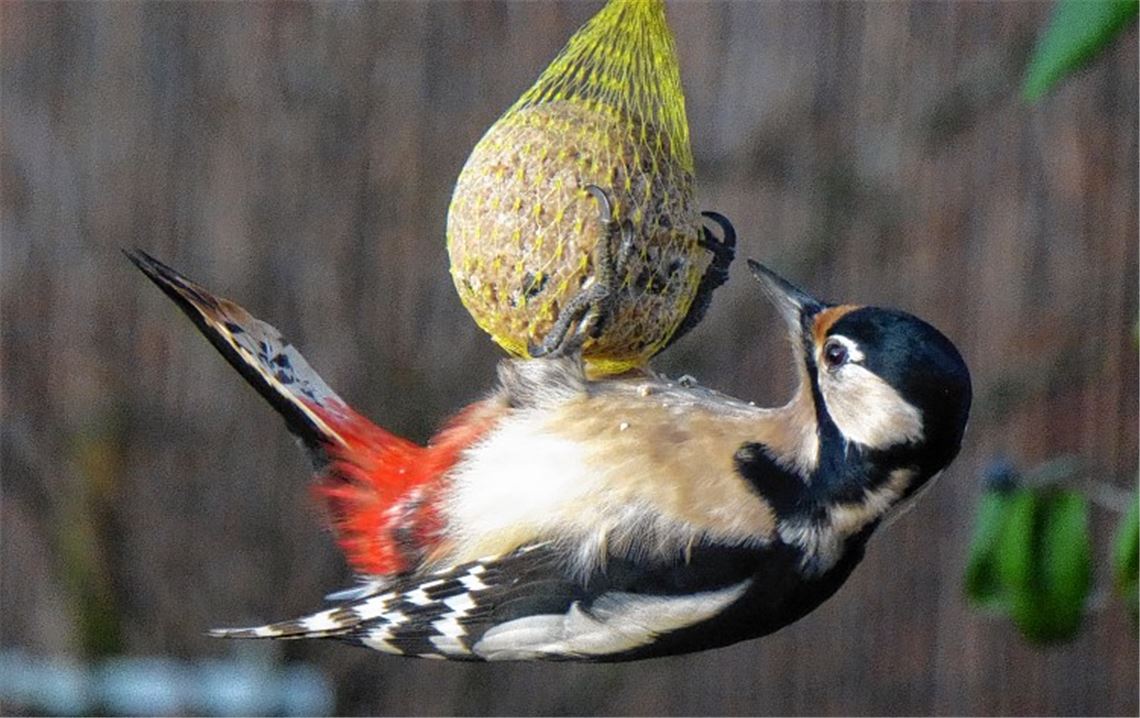 Winterbilder