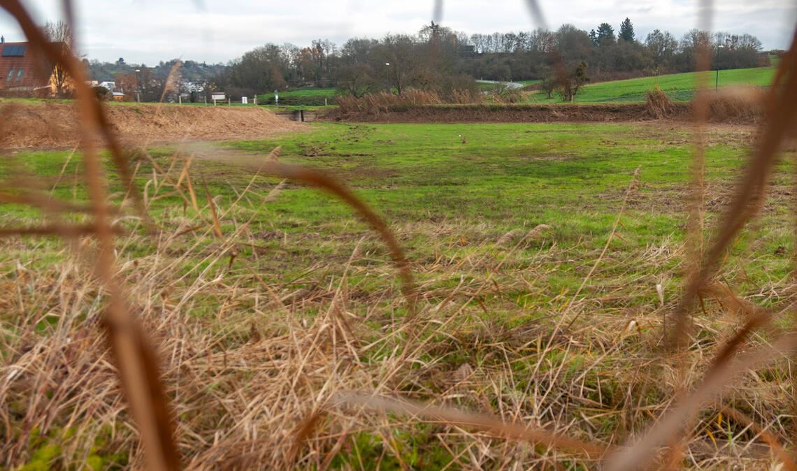 Feuchtwiese statt Fischwasser: Der abgelassene Wullesee wartet auf den nächsten Einsatz von schwerem Gerät, um den rissigen Untergrund abzudichten. Foto: Fotomoment