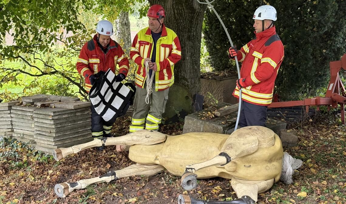 Spezialeinheit übt Rettung von Großtieren Feuerwehrleute aus einer Ötisheimer Spezialeinheit üben mit einem Dummy die Rettung von Großtieren. Fotos: ComCavalo