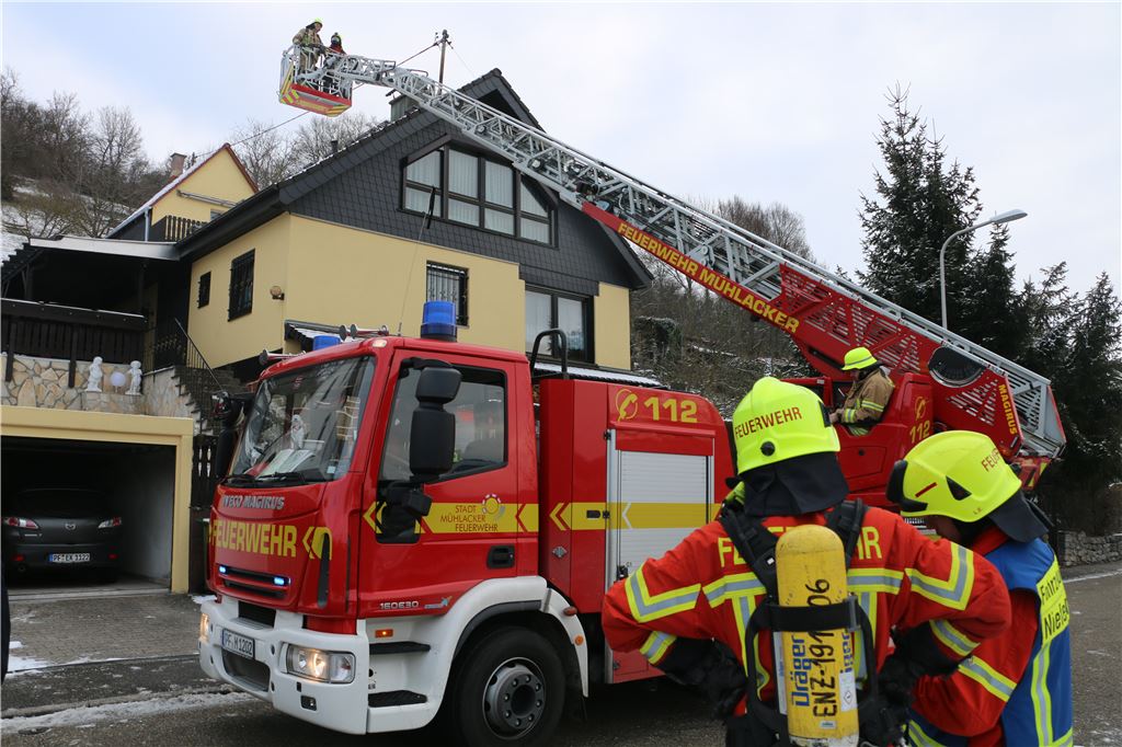 910_0008_125497_ts_Kaminbrand_NiefernBorort_1