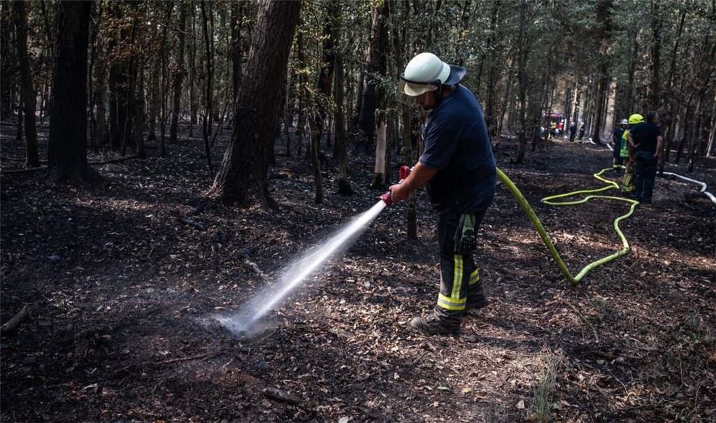 Feuerwehrmänner sind bei Nachlöscharbeiten in einem Waldstück im Hürtgenwald im Einsatz.
