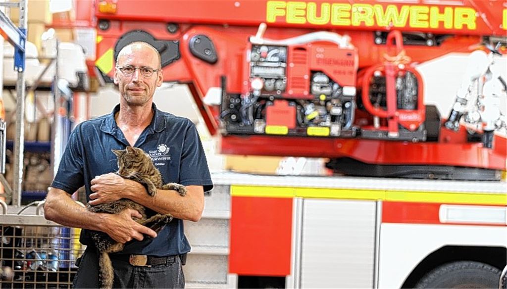 Der Vierbeiner auf dem Steuerstand
