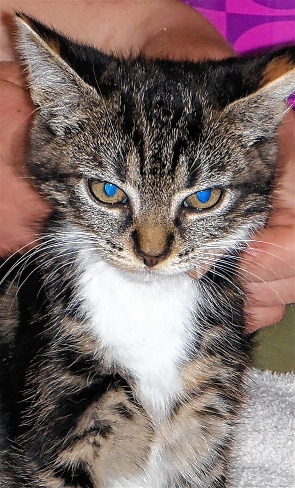 Findelkind „Luna“.