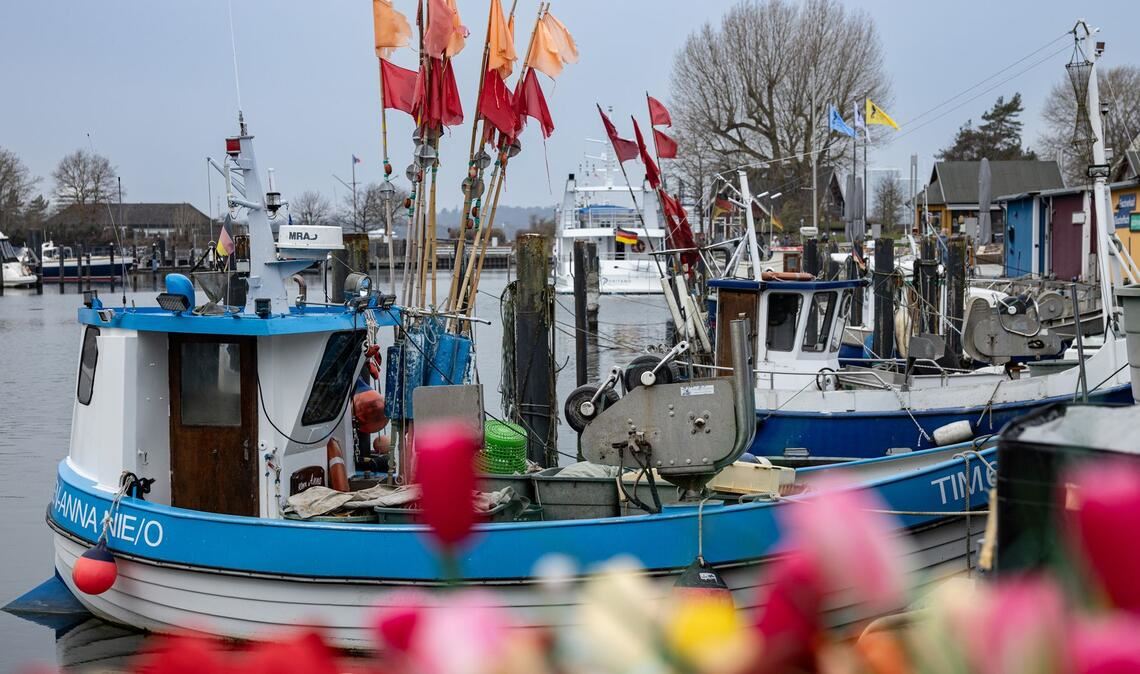 Fischerboote liegen im Hafen von Niendorf an der Ostsee.