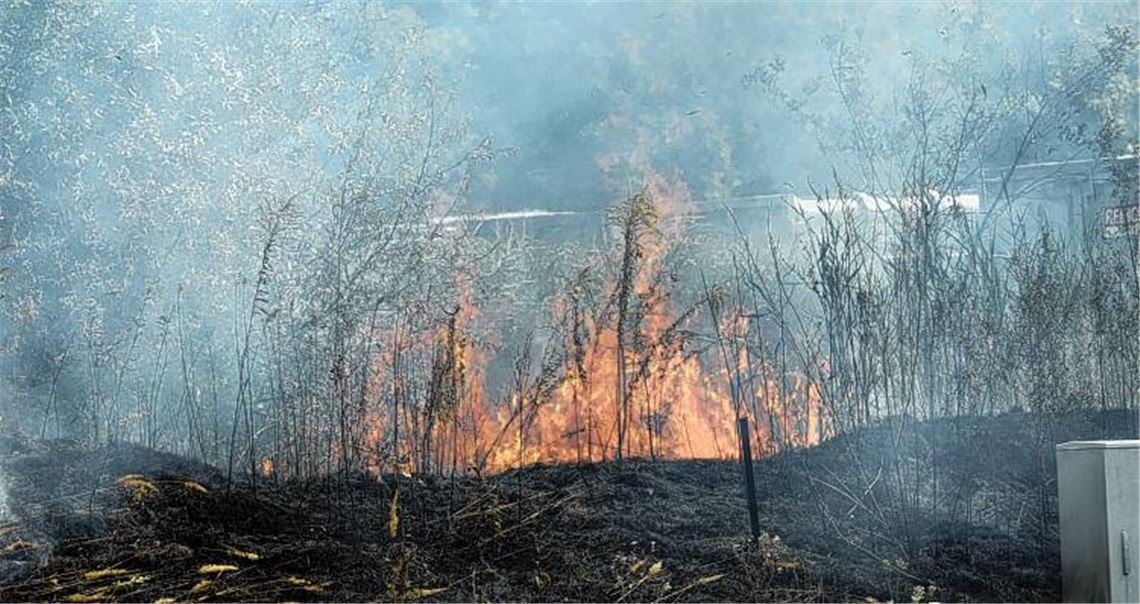 Flächenbrand