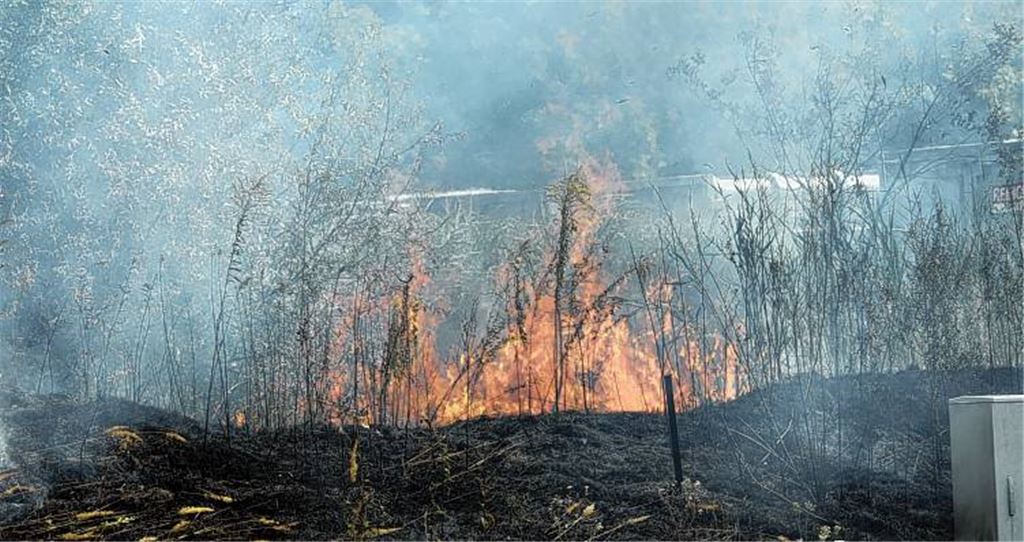 Flächenbrand