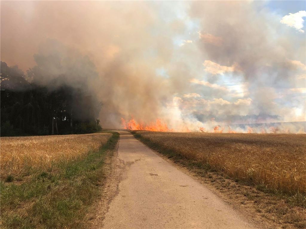 910_0008_192682_vh_Flaechenbrand_Feld_Schmie_Lienzingen