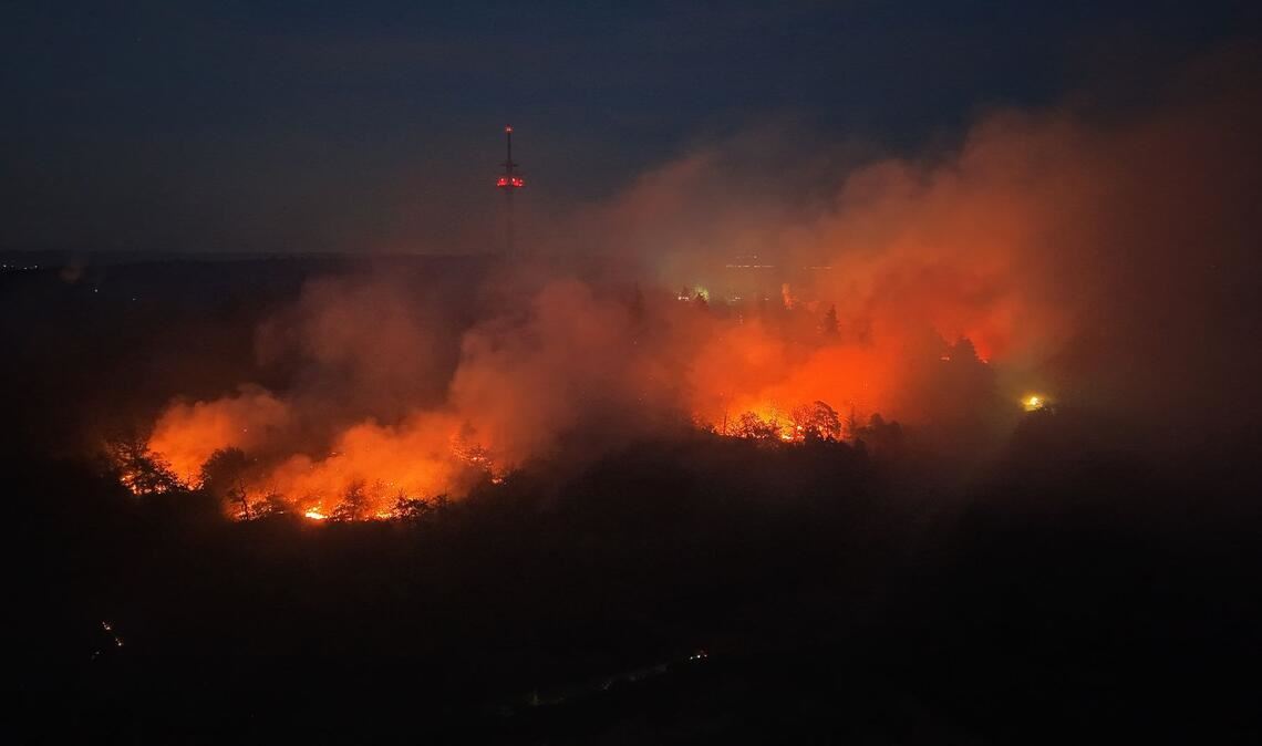 Flammen lodern im Wald vor dem Fernmeldeturm Bad Kreuznach.