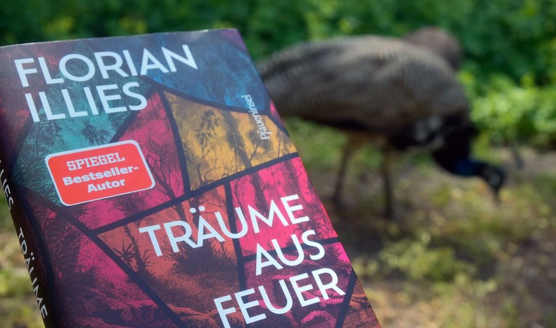 Florian Illies’ "Träume aus Feuer" ist eine Parabel darüber, wie aus einem gescheiterten Traum etwas Wertvolleres entstehen kann.