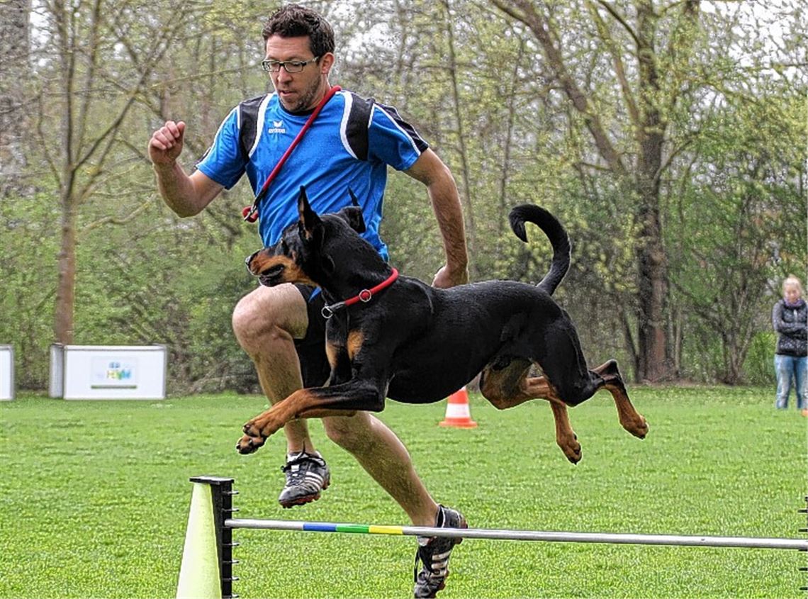 Florian Stockbrink schafft mit Dobermann-Mischling Lui den Aufstieg in die höchste Vierkampf-Klasse und wird Zweiter im Geländelauf. Foto: Heintel