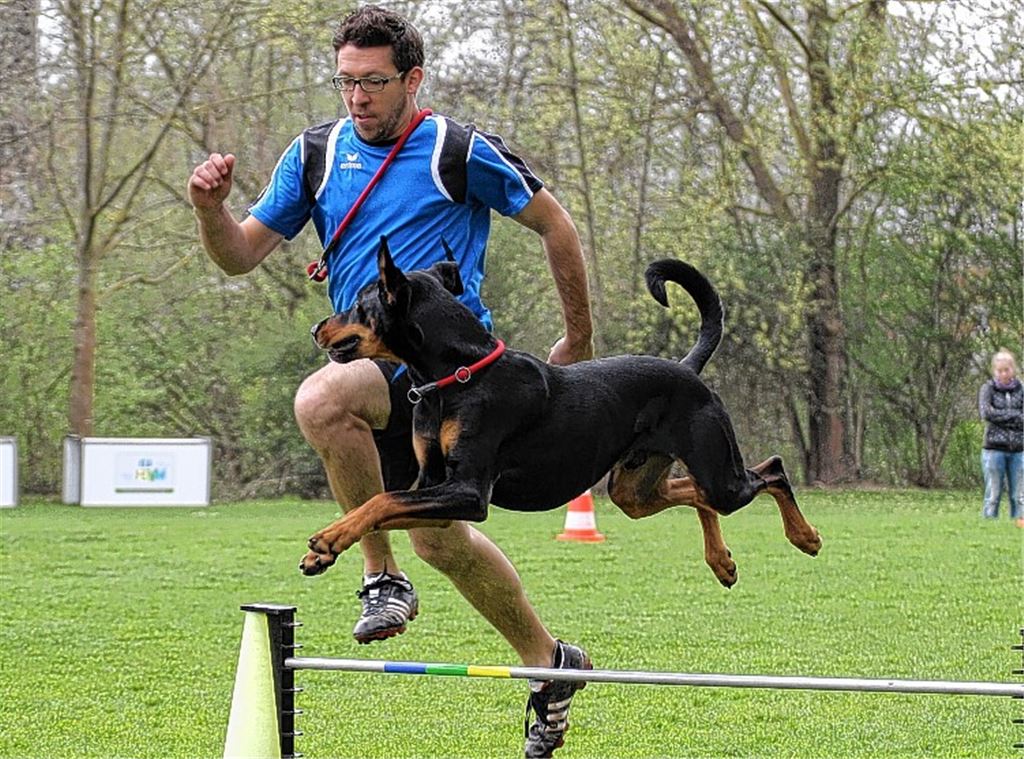 Florian Stockbrink schafft mit Dobermann-Mischling Lui den Aufstieg in die höchste Vierkampf-Klasse und wird Zweiter im Geländelauf. Foto: Heintel