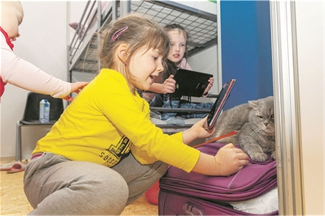 Geflüchtete bringen ihre Haustiere in Sicherheit Flüchtlingskinder erfreuen sich an einer Katze. Foto: Archiv