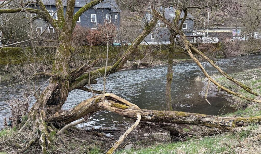 Flussufer der Sieg: Ein Dreijähriger ist bei einem Kita-Ausflug ums Leben gekommen.