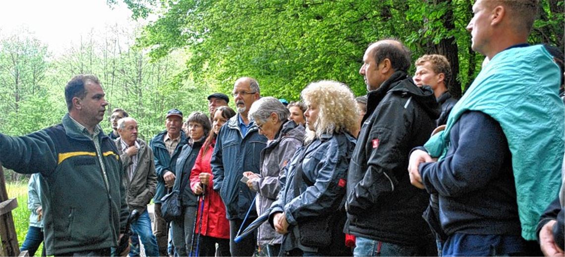 Hexen, Blutegel und Mönche Hexen, Blutegel und Mönche