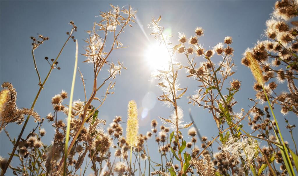 Folgen des Klimawandels: Hitze und Dürre, aber auch Unwetter mit Starkregen sind keine überregionalen Phänomene, sondern treiben auch die Region um. Symbolbild: Archiv/Fotomoment