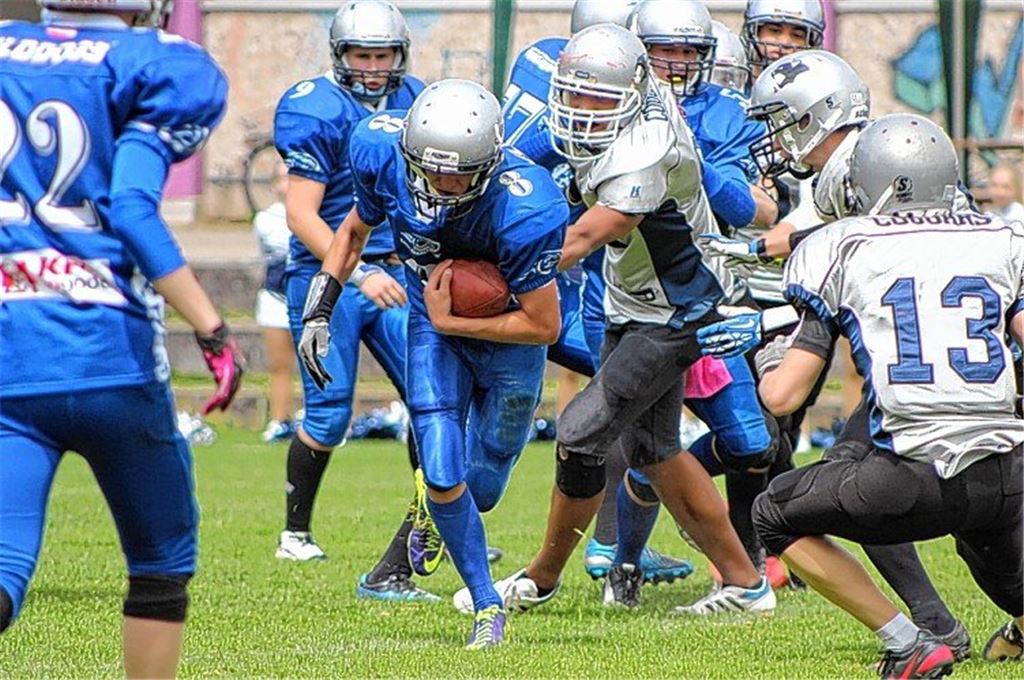 Wilddogs bieten Schnuppertraining