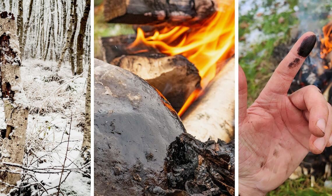 Forscher haben Birkenpech mit Methoden hergestellt, die schon Neandertaler nutzen, um dessen antibakterielles Potenzial zu analysieren.