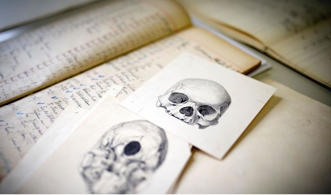 Forschungsmaterialen der Stiftung Preußischer Kulturstiftung (SPK) zur Klärung der Schädelherkunft. Foto: