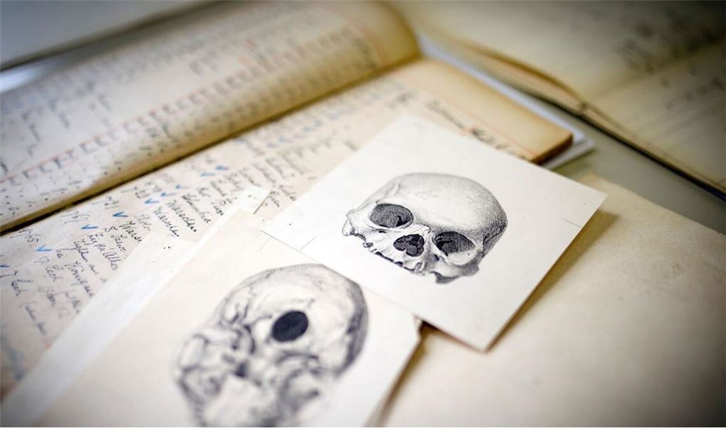 Forschungsmaterialen der Stiftung Preußischer Kulturstiftung (SPK) zur Klärung der Schädelherkunft. Foto: