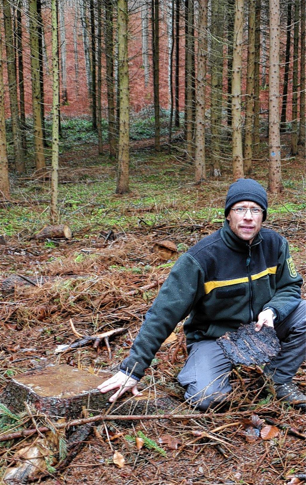 Der Wald musste 2018 viel ertragen